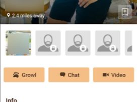 profile quality