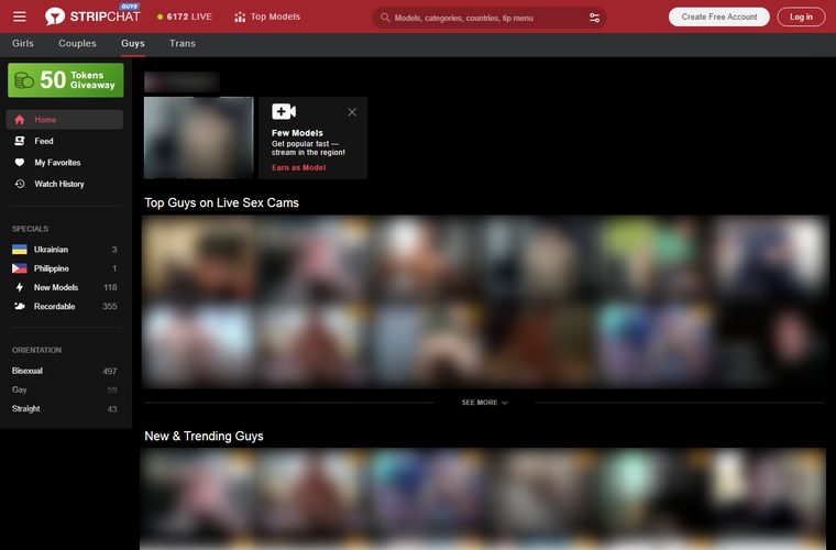 stripchat how it works
