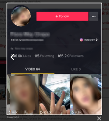 TikTok Profile