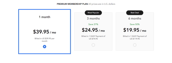 InterracialMatch Cost